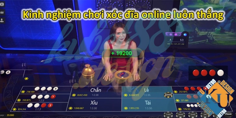 Chơi Xóc Đĩa online và bí kíp kiếm tiền chuẩn nhất 2024