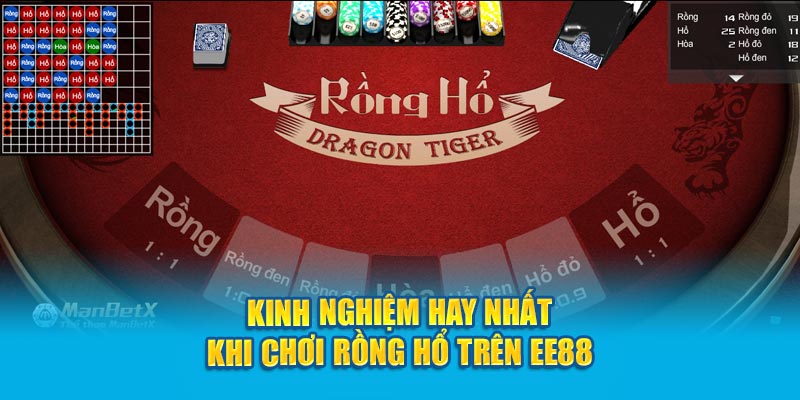 Kinh nghiệm hiệu quả khi chơi Rồng Hổ trên EE88